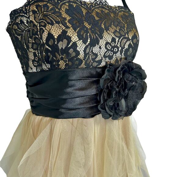 Romantic Goth Evening Empire Gown Black Lace Tiered Tulle Rosette Formal 5/6 - Picture 8 of 14